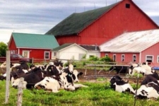 Photo of Bechaz Riverdale Cheese & Gelateria Photo of Bechaz Riverdale Cheese & Gelateria