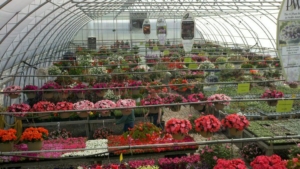 Logo for DeLuke’s Garden Center Logo for DeLuke’s Garden Center