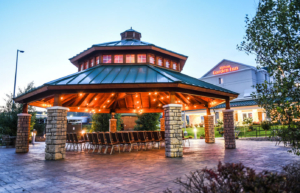 Logo for Hilton Garden Inn – Watertown/1000 Islands Logo for Hilton Garden Inn – Watertown/1000 Islands