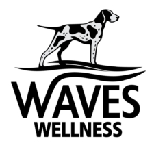 Logo for Waves Wellness Studio Logo for Waves Wellness Studio